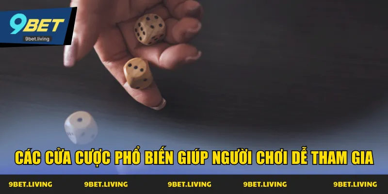 Các cửa cược phổ biến giúp người chơi dễ tham gia