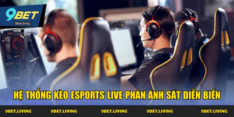 Hệ thống kèo Esports Live phản ánh sát diễn biến