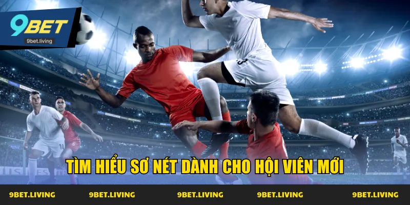 Tìm hiểu sơ nét dành cho hội viên mới